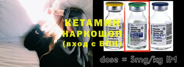 амф Дмитриев