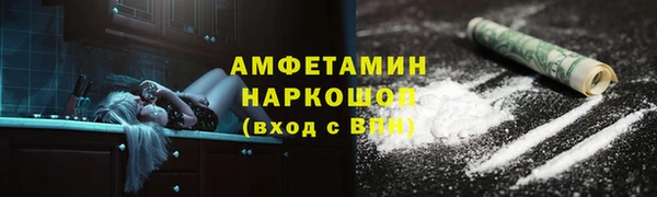 амф Дмитриев
