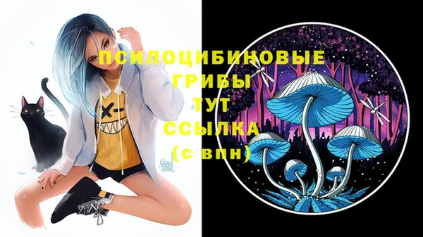 прущая мука Дмитровск