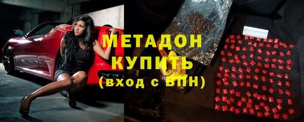 амф Дмитриев