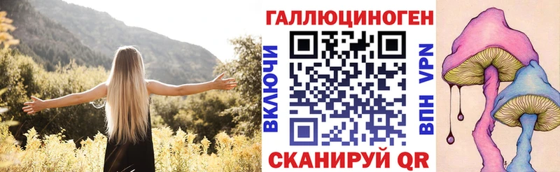 Купить где  Перевоз  Галлюциногенные грибы мицелий 